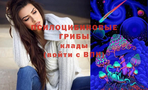бутират Алексин