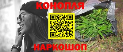крисы Янаул