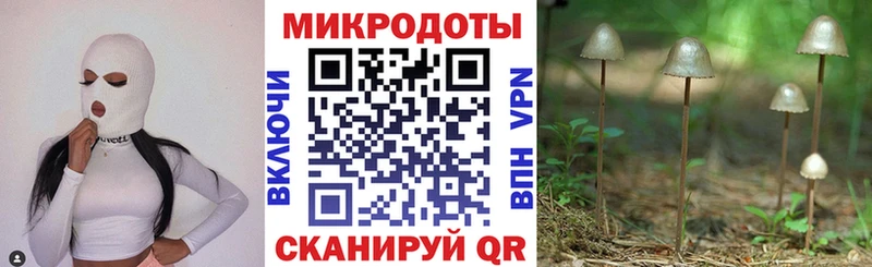 Псилоцибиновые грибы Psilocybe  Уфа 