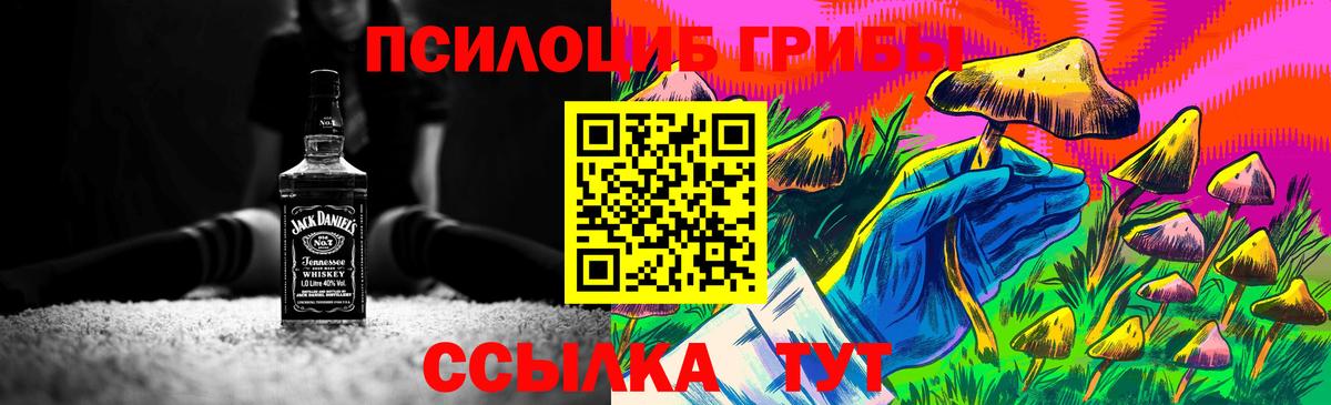 Уфа  дарнет шоп  Галлюциногенные грибы мухоморы  Вход с VPN  Псилоцибиновые грибы MAGIC MUSHROOMS 